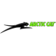  Arctic Cat